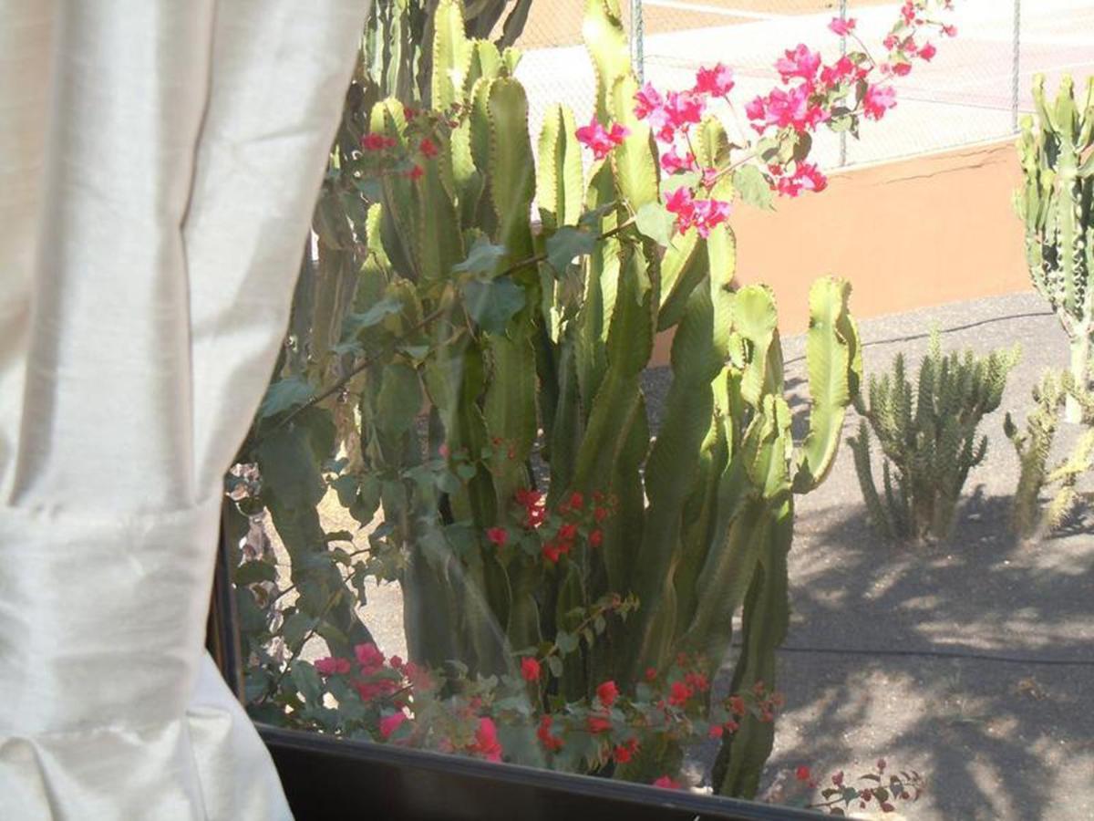 Family Apartment 1 Bedroom With Pool View 2 - Oasis Duna Resort Corralejo Bagian luar foto
